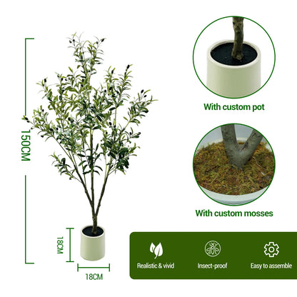 Olive Plant in Pot with Realistic Leaves & Fruits