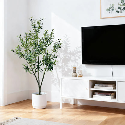 Olive Plant in Pot with Realistic Leaves & Fruits