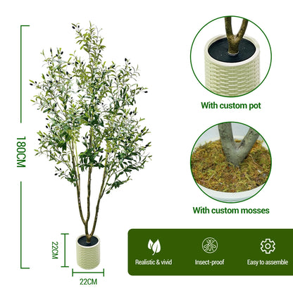 Olive Plant in Pot with Realistic Leaves & Fruits