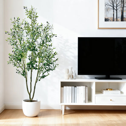 Olive Plant in Pot with Realistic Leaves & Fruits